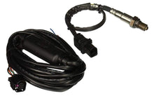 Load image into Gallery viewer, 0310.jpg