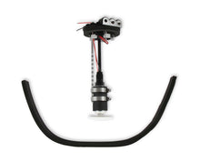 Load image into Gallery viewer, 12-169_01.jpg