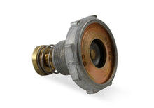 Load image into Gallery viewer, 125-65_02.jpg