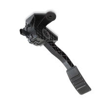 Load image into Gallery viewer, 145-212_02.jpg