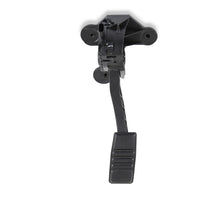 Load image into Gallery viewer, 145-212_03.jpg