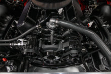 Load image into Gallery viewer, 20-242bkinst19290.jpg