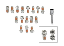 Load image into Gallery viewer, Mr Gasket Locking Header Bolt Kit 3/8-16 x 3/4 16pk