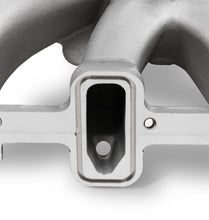 Load image into Gallery viewer, 300-255_131979.jpg