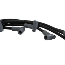 Load image into Gallery viewer, 31803_02_P01_CON.jpg