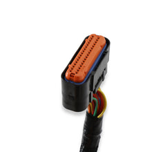 Load image into Gallery viewer, 4247_05.jpg