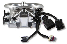 Load image into Gallery viewer, 550-1070_10.jpg