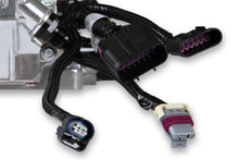 Load image into Gallery viewer, 550-1070_13.jpg