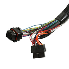 Load image into Gallery viewer, 550-603_02_P05_CON.jpg