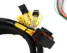 Holley EFI CAN Module 8-Channel EGT Controller