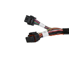 Load image into Gallery viewer, 558-101_02.jpg