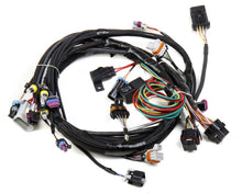 Load image into Gallery viewer, 558-102.jpg