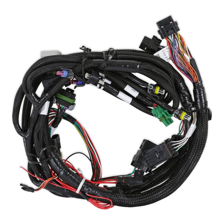 Holley EFI Main Harness - Universal MPFI