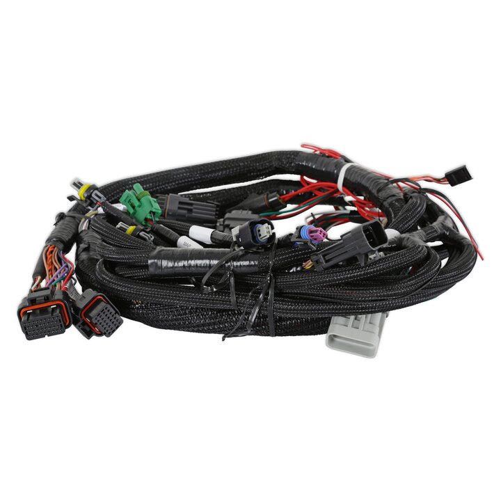 Holley EFI Main Harness - Universal MPFI