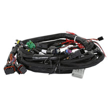 Load image into Gallery viewer, Holley EFI Main Harness - Universal MPFI