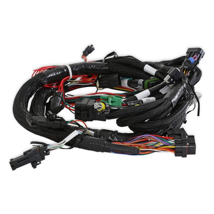 Holley EFI Main Harness - Universal MPFI