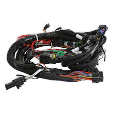 Load image into Gallery viewer, Holley EFI Main Harness - Universal MPFI
