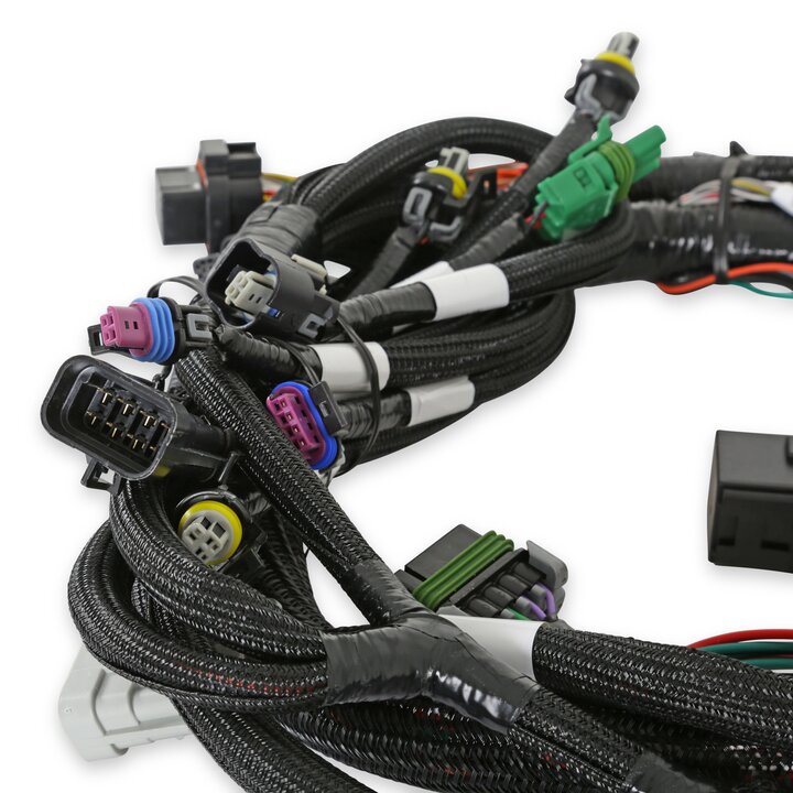 Holley EFI Main Harness - Universal MPFI