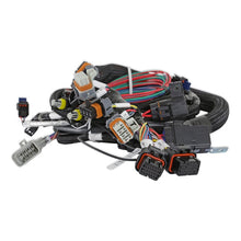 Load image into Gallery viewer, 558-116_03_P01_CON.jpg