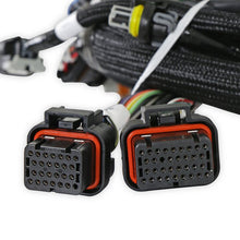 Load image into Gallery viewer, 558-117_03_P05_CON.jpg