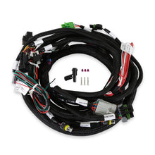 Load image into Gallery viewer, 558-128_01.jpg