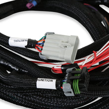 Load image into Gallery viewer, 558-128_04.jpg