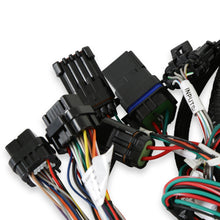 Load image into Gallery viewer, 558-128_05.jpg