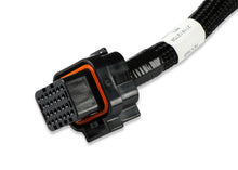 Load image into Gallery viewer, 558-473_05.jpg