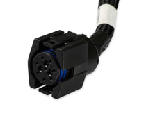 Load image into Gallery viewer, 558-473_08.jpg