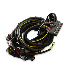 Load image into Gallery viewer, 6011_02.jpg