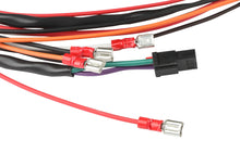 Load image into Gallery viewer, 64316_0519298.jpg