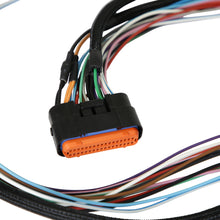 Load image into Gallery viewer, 7227_07.jpg