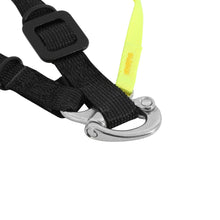 Load image into Gallery viewer, HSQR_02_P01_ANG.jpg