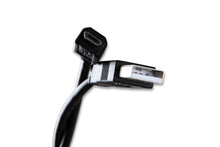 Load image into Gallery viewer, 77303_09.jpg