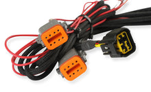 Load image into Gallery viewer, 7766_1019213.jpg