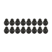 Load image into Gallery viewer, 919g_03.jpg