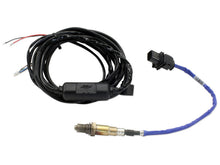 Load image into Gallery viewer, AEM30-0310.jpg