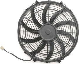 AFC80177.jpg
