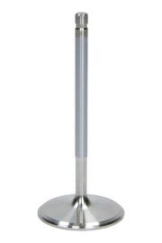 AFR7256-1.jpg