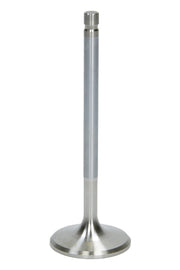 AFR7631-1.jpg