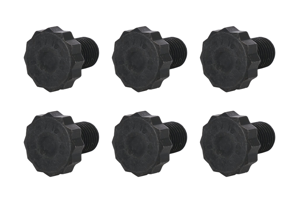 ALL16170.jpg