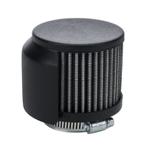 Load image into Gallery viewer, ALL36223.jpg