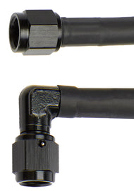 ALL48398.jpg
