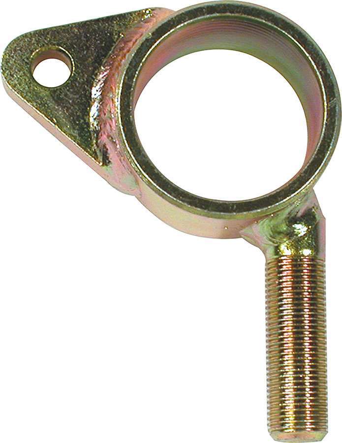 ALL56296.jpg