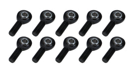 ALL58069-10.jpg