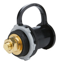 Load image into Gallery viewer, ALL76141.jpg