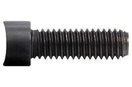 ALL76147-10.jpg