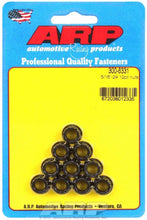 Load image into Gallery viewer, ARP300-8331.jpg
