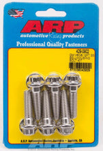 Load image into Gallery viewer, ARP429-0902.jpg