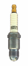 Load image into Gallery viewer, BSKHOR15LGS.jpg